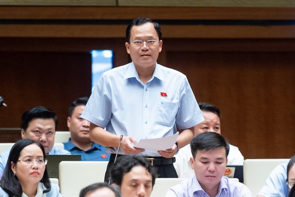Đại biểu Quốc hội đề nghị tránh tư duy coi văn hoá chỉ là giải trí - Anh 2