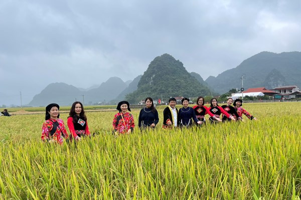 Lễ hội mùa vàng Bắc Sơn - Anh 1