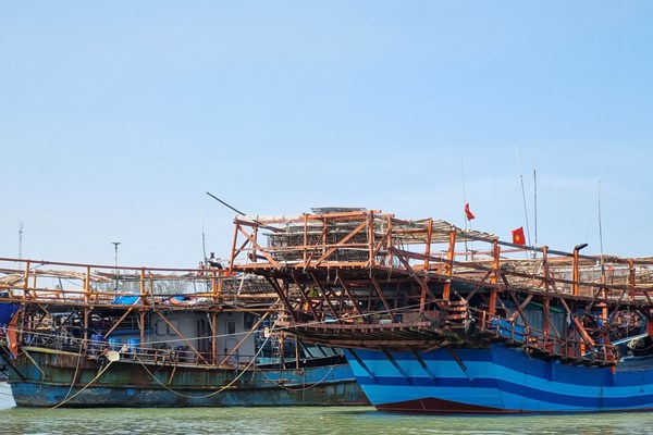 Một ngư dân mất tích khi hành nghề câu mực trên biển - Anh 1