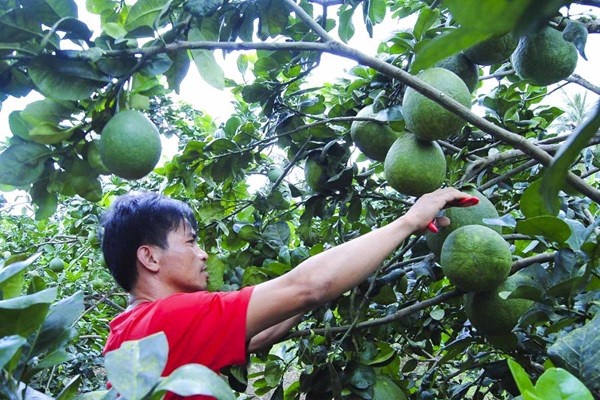 Lan tỏa sản phẩm OCOP để gắn kết phát triển du lịch - Anh 2