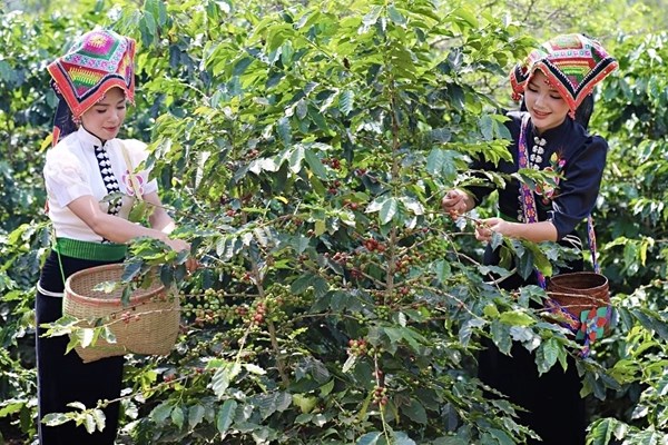 Phát triển du lịch nông nghiệp bằng các sản phẩm đặc trưng - Anh 1