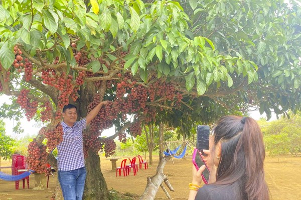 Đầu tư xanh để du lịch Phú Yên phát triển - Anh 1