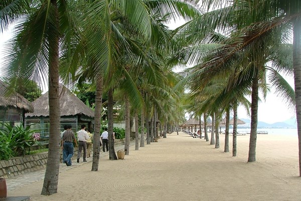 Hội thảo Bảo tồn và phát huy giá trị văn hóa tỉnh Khánh Hòa - Anh 2