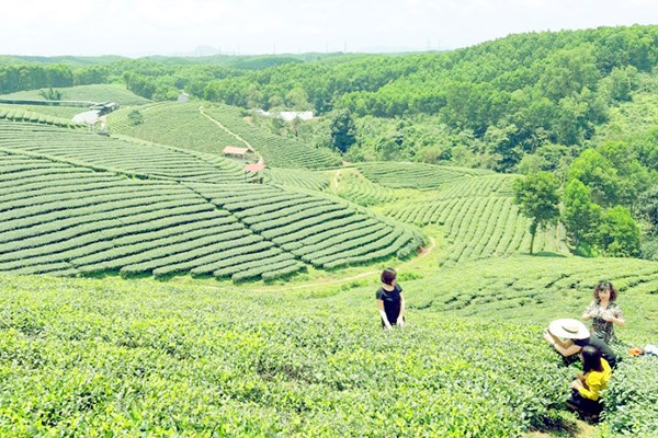 Gắn kết với lợi thế du lịch nông nghiệp - Anh 2