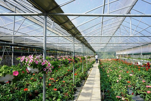 Gắn kết với lợi thế du lịch nông nghiệp - Anh 3