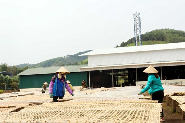 Gắn kết với lợi thế du lịch nông nghiệp - Anh 4