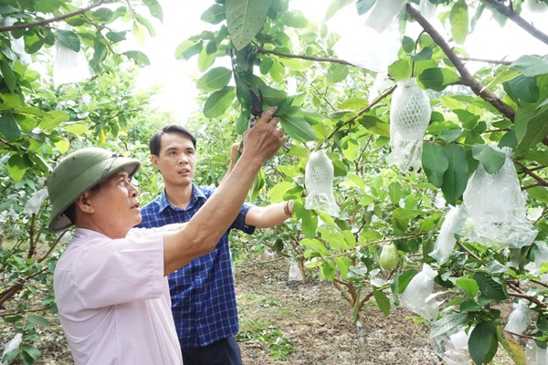 Gắn kết với lợi thế du lịch nông nghiệp - Anh 5