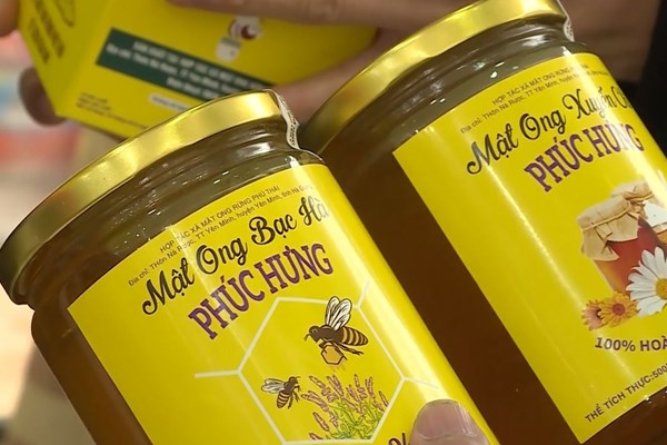 Tiềm năng từ các sản phẩm đặc thù vùng cao nguyên đá - Anh 4