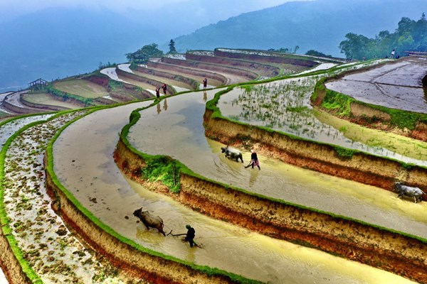Tiềm năng từ các sản phẩm đặc thù vùng cao nguyên đá - Anh 5