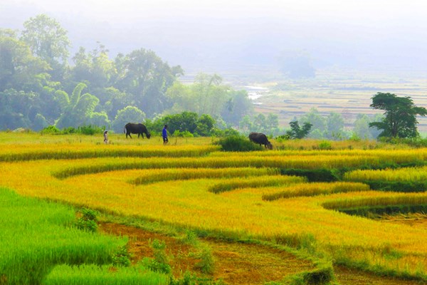 Mở ra hướng khởi nghiệp - Anh 4