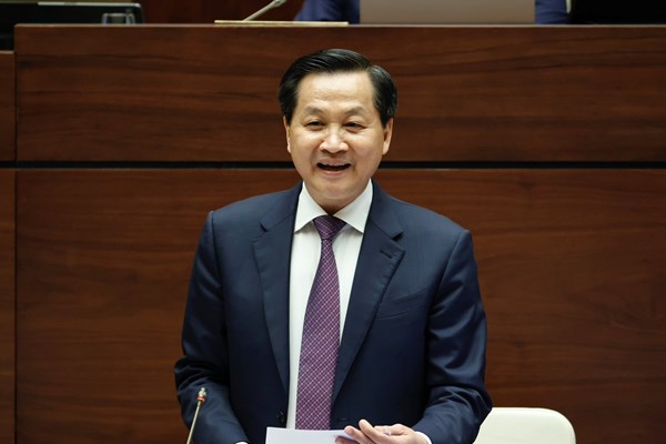 Phó Thủ tướng Lê Minh Khái: Kiên trì mục tiêu coi đầu tư cho văn hoá, giáo dục là đầu tư cho con người, cho phát triển bền vững - Anh 2