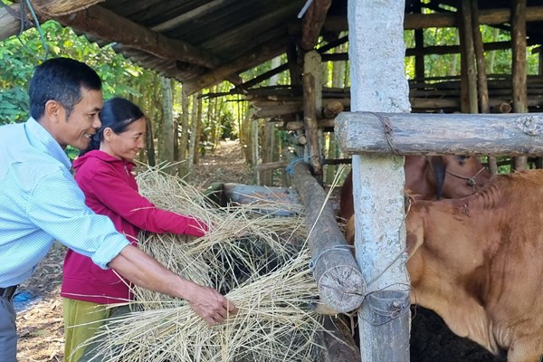 Sức sống mới ở Hành Tín Tây - Anh 4