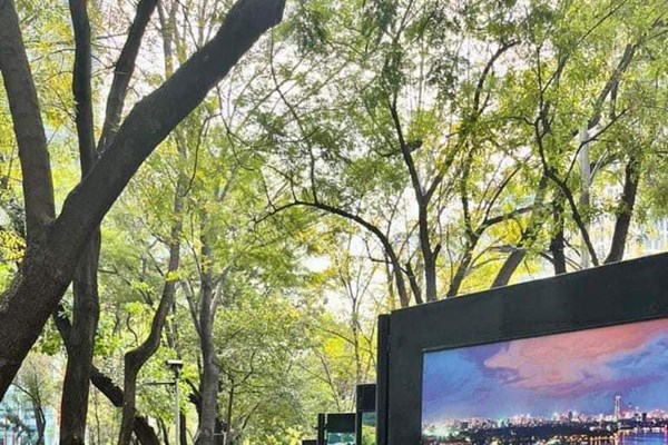 Triển lãm ảnh “Việt Nam: Quyến rũ và năng động” tại Mexico - Anh 1