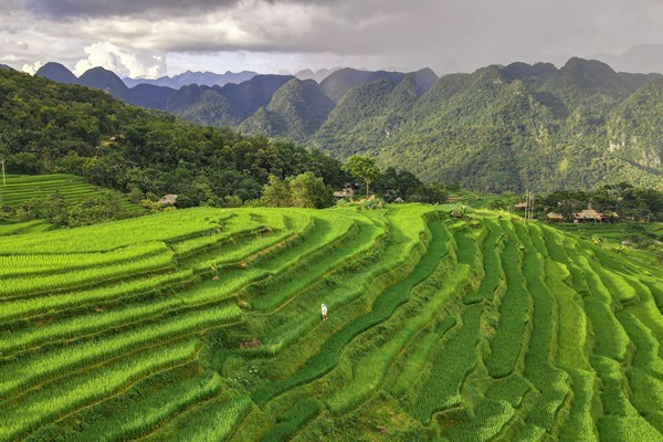 Cần tập trung nguồn lực cho chương trình du lịch nông nghiệp gắn với Chương trình OCOP - Anh 1