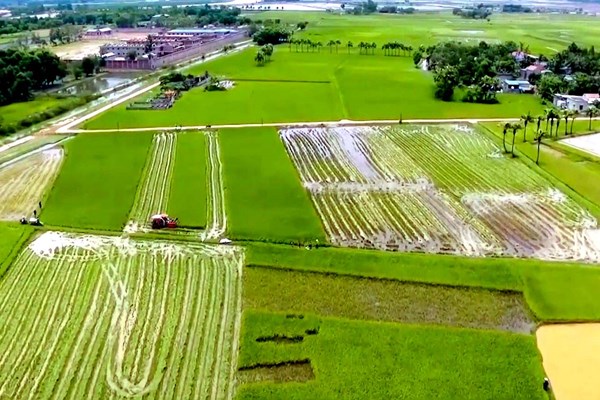 Cần tập trung nguồn lực cho chương trình du lịch nông nghiệp gắn với Chương trình OCOP - Anh 3