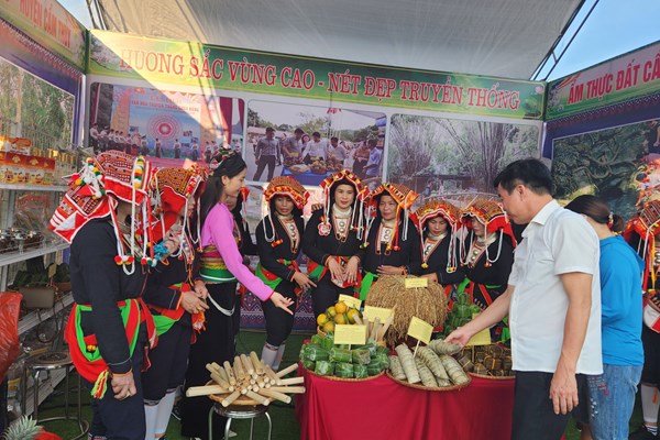 Nhiều hoạt động văn hóa đặc sắc tại Liên hoan văn nghệ dân gian tỉnh Thanh Hóa - Anh 1