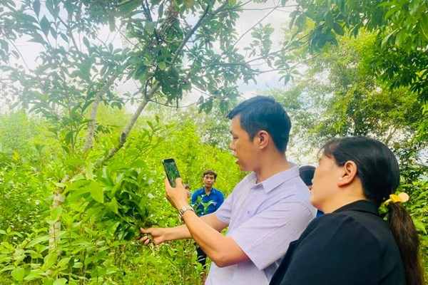 Định vị thương hiệu cho sản phẩm khởi nghiệp của thanh niên miền núi Quảng Ngãi - Anh 2