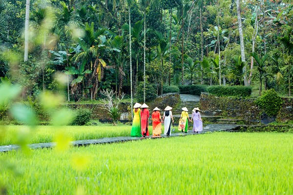 Tìm giải pháp cho du lịch xanh phát triển đột phá - Anh 1