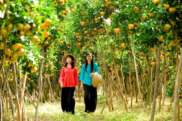 Xứ Dừa phát triển Chương trình OCOP gắn với du lịch nông thôn - Anh 2