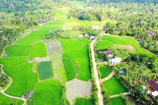 Điểm nhấn và hướng phát triển chủ đạo của xứ Quảng - Anh 1