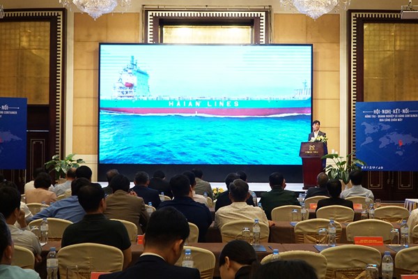 Kết nối hãng tàu và doanh nghiệp để thu hút hàng container qua cảng Chân Mây - Anh 2