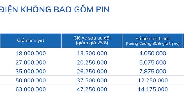 Chọn xe điện VinFast, thầy cô giáo ủng hộ di chuyển xanh - Anh 1