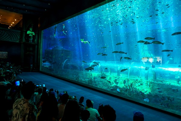 Kỳ nghỉ siêu nhạc hội gắn kết gia đình chỉ có ở 8Wonder Winter Festival - Anh 2