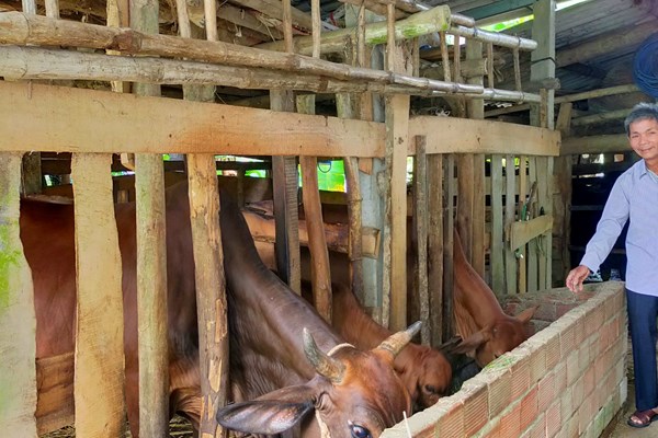 “Chìa khóa” thoát nghèo bền vững - Anh 2
