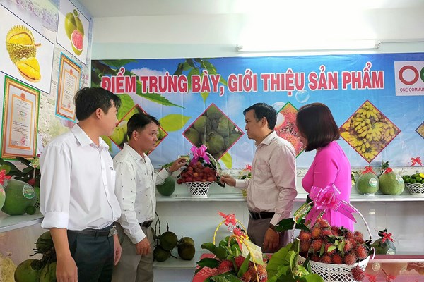 “Chìa khóa” thoát nghèo bền vững - Anh 3