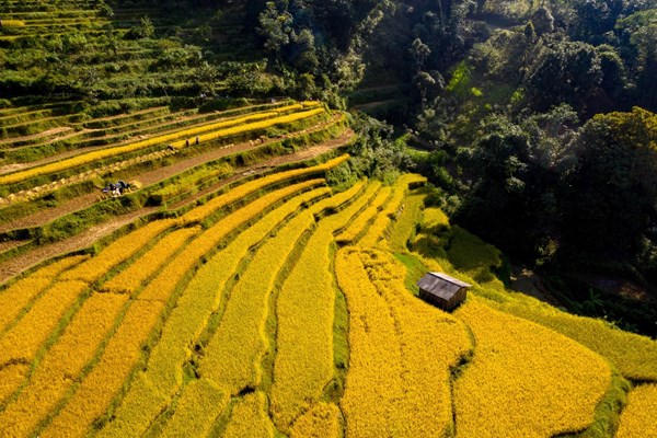 Phát triển sản phẩm OCOP du lịch ở vùng Non nước Cao Bằng - Anh 1