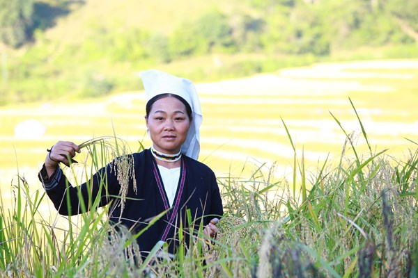 Phát triển sản phẩm OCOP du lịch ở vùng Non nước Cao Bằng - Anh 4