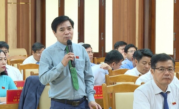 Quảng Ngãi: Không làm du lịch bằng mọi giá mà phải lựa chọn, thu hút nhà đầu tư đủ tầm - Anh 3
