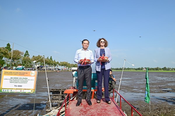 Triển khai một triệu ha chuyên canh lúa chất lượng cao - Anh 1