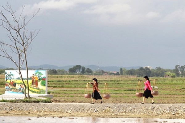 Tour du lịch “Làng cá gỗ - sau ánh hào quang” ở Nghệ An: Sản phẩm du lịch văn hóa – lịch sử - Anh 9