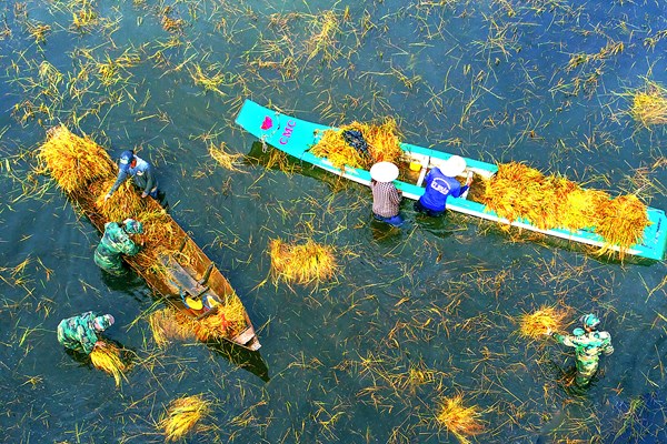 Triển lãm “Quân với dân một ý chí” - Anh 2