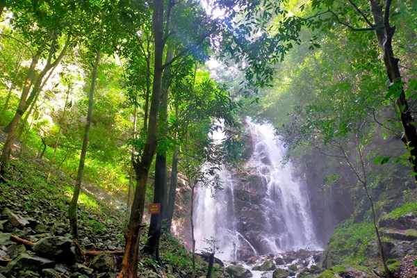 Kon Tum: Đánh thức tiềm năng phát triển du lịch ở huyện Sa Thầy - Anh 6