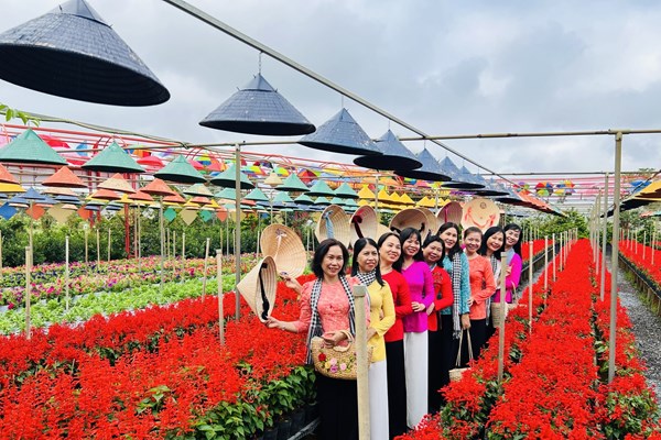 Festival Hoa - kiểng Sa Đéc thu hút hơn 245.000 lượt khách - Anh 1
