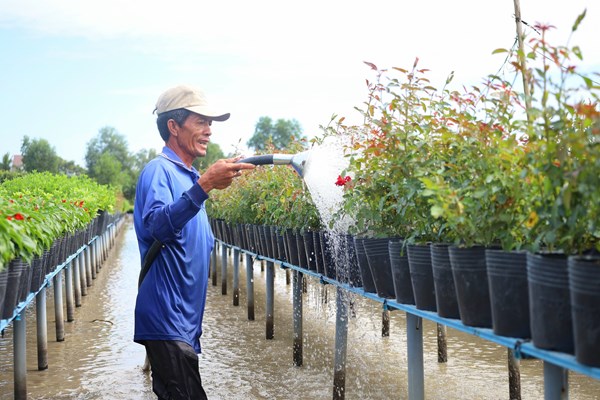 Festival Hoa - kiểng Sa Đéc thu hút hơn 245.000 lượt khách - Anh 2