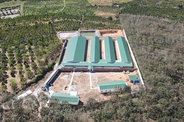 Xây dựng trang trại chăn nuôi heo trái phép trên đất nông nghiệp ở huyện Ngọc Hồi (Kon Tum): Chủ tịch xã nói “trên đe dưới búa” - Anh 1