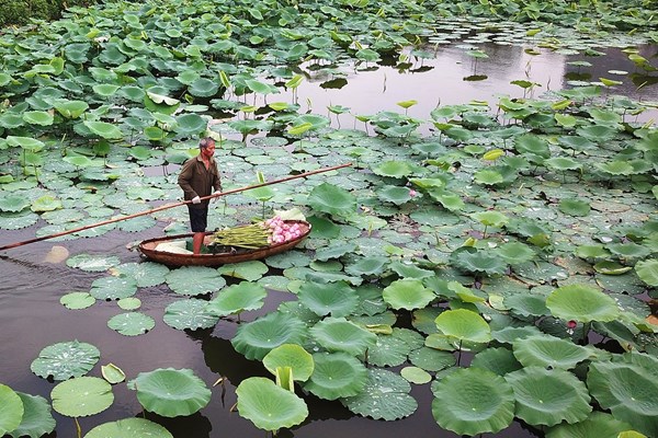 Viết tiếp bài Hồ Tây vẫn là nơi 