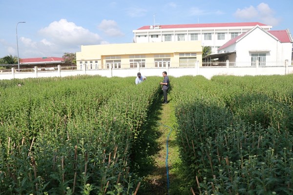 Làng hoa mỏi mòn chờ… thương lái - Anh 1