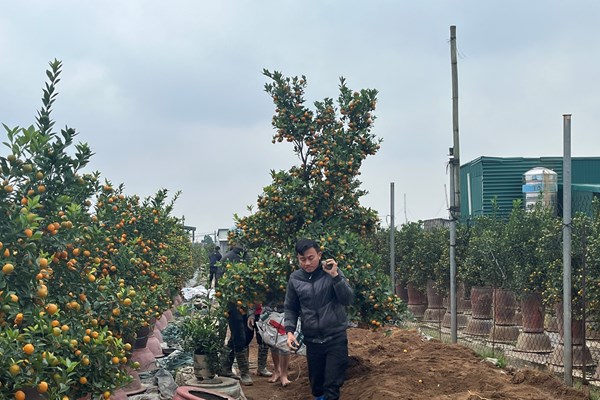 Mong chờ một vụ mùa bội thu - Anh 5