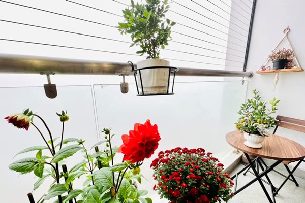 Sương mù xuất hiện tại Thủ đô, có lo ngại về vấn đề sức khoẻ? - Anh 3