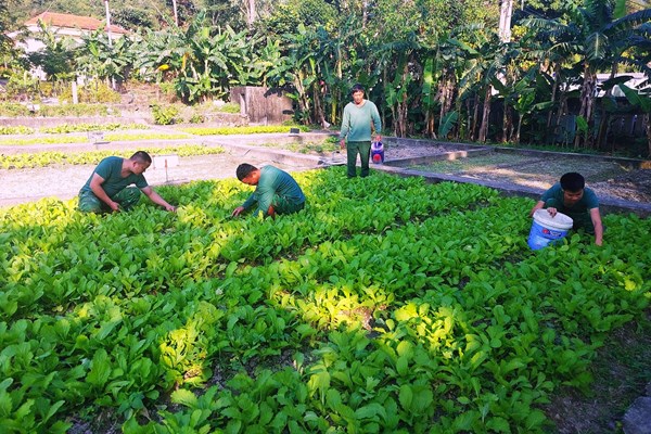 Đón Xuân sớm trên đảo Cù Lao Chàm - Anh 2