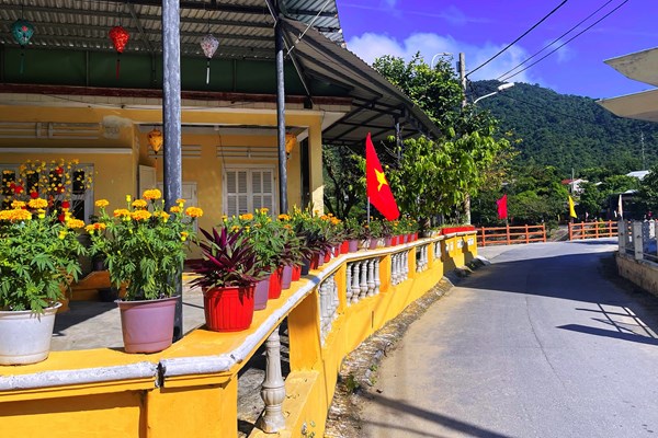 Đón Xuân sớm trên đảo Cù Lao Chàm - Anh 1