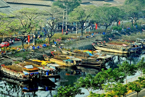 Đặc sắc Chợ hoa Xuân “Trên bến dưới thuyền” duy nhất tại TP.HCM - Anh 2