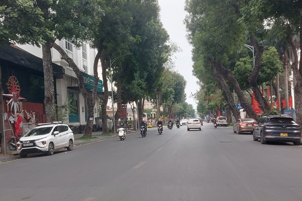 Hà Nội: Ngày 29 Tết vắng tiếng còi xe - Anh 8