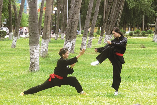 Tuyệt chiêu võ rồng - Anh 1