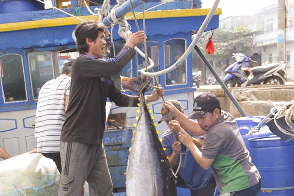 Lộc biển đầu năm từ những chuyến tàu xuyên Tết - Anh 1