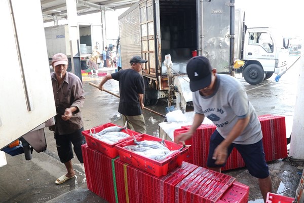 Khánh Hoà: Chung tay gỡ khó cho ngành thuỷ sản - Anh 2